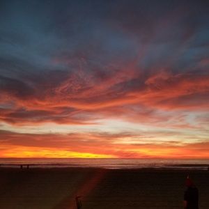 Meet your Posher, Paul